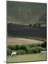 The Long Man, Wilmington, East Sussex, England, United Kingdom-Walter Rawlings-Mounted Photographic Print