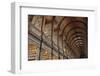 The Long Room in the library of Trinity College, Dublin, Republic of Ireland, Europe-Nigel Hicks-Framed Photographic Print