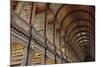 The Long Room in the library of Trinity College, Dublin, Republic of Ireland, Europe-Nigel Hicks-Mounted Photographic Print