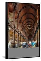 The Long Room in the library of Trinity College, Dublin, Republic of Ireland, Europe-Nigel Hicks-Framed Stretched Canvas