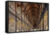 The Long Room in the library of Trinity College, Dublin, Republic of Ireland, Europe-Nigel Hicks-Framed Stretched Canvas