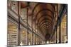 The Long Room in the library of Trinity College, Dublin, Republic of Ireland, Europe-Nigel Hicks-Mounted Photographic Print