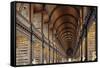 The Long Room in the library of Trinity College, Dublin, Republic of Ireland, Europe-Nigel Hicks-Framed Stretched Canvas