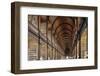 The Long Room in the library of Trinity College, Dublin, Republic of Ireland, Europe-Nigel Hicks-Framed Photographic Print