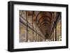 The Long Room in the library of Trinity College, Dublin, Republic of Ireland, Europe-Nigel Hicks-Framed Photographic Print