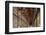 The Long Room in the library of Trinity College, Dublin, Republic of Ireland, Europe-Nigel Hicks-Framed Photographic Print