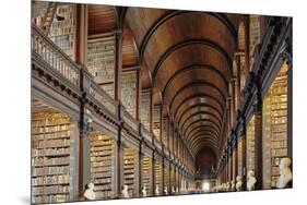 The Long Room in the library of Trinity College, Dublin, Republic of Ireland, Europe-Nigel Hicks-Mounted Photographic Print