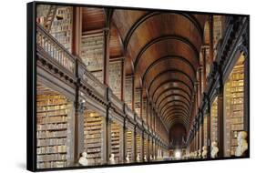 The Long Room in the library of Trinity College, Dublin, Republic of Ireland, Europe-Nigel Hicks-Framed Stretched Canvas