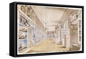 The Long Room, Interior of Front Room in Peale's Museum, 1822 (W/C over Graphite on Paper)-Charles Willson Peale-Framed Stretched Canvas