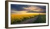 The Long Run-Nick Brundle Photography-Framed Photographic Print