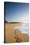 The Long Stretches of Beach, Polihale State Beach Park, Kauai, Hawaii-Micah Wright-Stretched Canvas