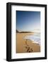 The Long Stretches of Beach, Polihale State Beach Park, Kauai, Hawaii-Micah Wright-Framed Photographic Print