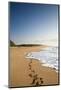 The Long Stretches of Beach, Polihale State Beach Park, Kauai, Hawaii-Micah Wright-Mounted Photographic Print