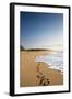 The Long Stretches of Beach, Polihale State Beach Park, Kauai, Hawaii-Micah Wright-Framed Photographic Print