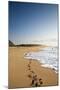 The Long Stretches of Beach, Polihale State Beach Park, Kauai, Hawaii-Micah Wright-Mounted Photographic Print