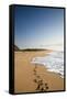 The Long Stretches of Beach, Polihale State Beach Park, Kauai, Hawaii-Micah Wright-Framed Stretched Canvas