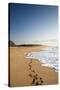 The Long Stretches of Beach, Polihale State Beach Park, Kauai, Hawaii-Micah Wright-Stretched Canvas