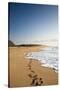 The Long Stretches of Beach, Polihale State Beach Park, Kauai, Hawaii-Micah Wright-Stretched Canvas