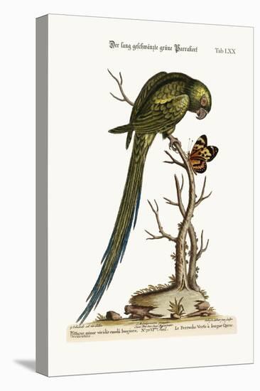 The Long-Tailed Green Parrakeet, 1749-73-George Edwards-Stretched Canvas