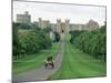 The Long Walk and Windsor Castle, Windsor, Berkshire, England, United Kingdom-Adam Woolfitt-Mounted Photographic Print