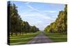 The Long Walk, Windsor, Berkshire, England, United Kingdom, Europe-Charlie Harding-Stretched Canvas