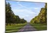 The Long Walk, Windsor, Berkshire, England, United Kingdom, Europe-Charlie Harding-Mounted Photographic Print