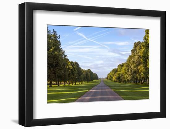The Long Walk, Windsor, Berkshire, England, United Kingdom, Europe-Charlie Harding-Framed Photographic Print