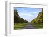 The Long Walk, Windsor, Berkshire, England, United Kingdom, Europe-Charlie Harding-Framed Photographic Print