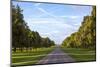 The Long Walk, Windsor, Berkshire, England, United Kingdom, Europe-Charlie Harding-Mounted Photographic Print