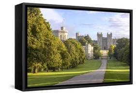 The Long Walk with Windsor Castle in the Background, Windsor, Berkshire, England-Charlie Harding-Framed Stretched Canvas