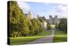 The Long Walk with Windsor Castle in the Background, Windsor, Berkshire, England-Charlie Harding-Stretched Canvas