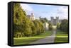 The Long Walk with Windsor Castle in the Background, Windsor, Berkshire, England-Charlie Harding-Framed Stretched Canvas