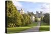 The Long Walk with Windsor Castle in the Background, Windsor, Berkshire, England-Charlie Harding-Stretched Canvas
