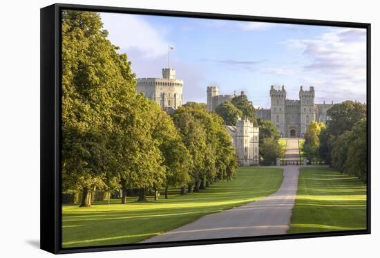 The Long Walk with Windsor Castle in the Background, Windsor, Berkshire, England-Charlie Harding-Framed Stretched Canvas