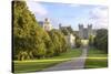 The Long Walk with Windsor Castle in the Background, Windsor, Berkshire, England-Charlie Harding-Stretched Canvas