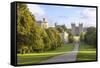 The Long Walk with Windsor Castle in the Background, Windsor, Berkshire, England-Charlie Harding-Framed Stretched Canvas