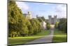 The Long Walk with Windsor Castle in the Background, Windsor, Berkshire, England-Charlie Harding-Mounted Premium Photographic Print