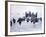 The Longest Day, 1962-null-Framed Photo