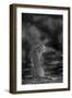 The Look Back-Jaco Marx-Framed Giclee Print