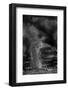 The Look Back-Jaco Marx-Framed Photographic Print