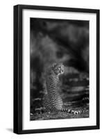 The Look Back-Jaco Marx-Framed Photographic Print