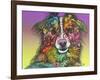 The Look, Dogs, Pets, Animals, White Snout, Purple yellow, Long hair, Pop Art, Stencils, Colorful-Russo Dean-Framed Giclee Print