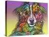 The Look, Dogs, Pets, Animals, White Snout, Purple yellow, Long hair, Pop Art, Stencils, Colorful-Russo Dean-Stretched Canvas