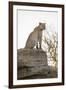 The Look Out-Nigel Pavitt-Framed Giclee Print