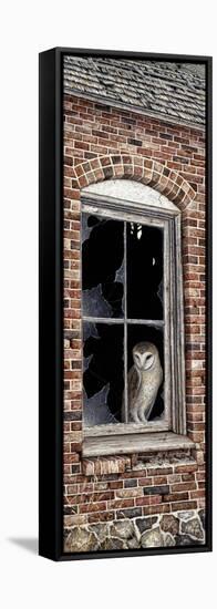 The Look Out-Jeff Tift-Framed Stretched Canvas
