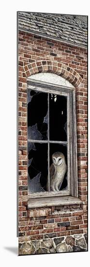 The Look Out-Jeff Tift-Mounted Giclee Print