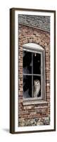 The Look Out-Jeff Tift-Framed Premium Giclee Print