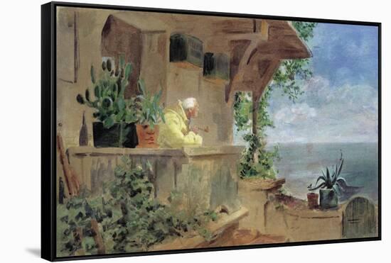 The Lookout-Carl Spitzweg-Framed Stretched Canvas