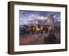 The Lookouts-Jack Sorenson-Framed Art Print