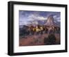 The Lookouts-Jack Sorenson-Framed Art Print